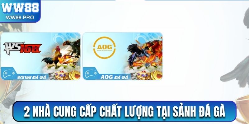 2 nhà cung cấp chất lượng tại sảnh đá gà