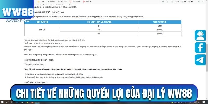 Chi tiết về những quyền lợi của đại lý WW88