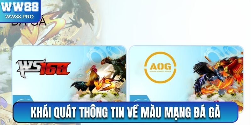 Khái quát thông tin về màu mạng đá gà