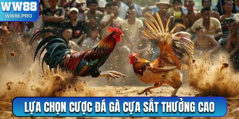 Lựa chọn cá cược Đá gà cựa sắt mang đến nhiều cơ hội thưởng lớn