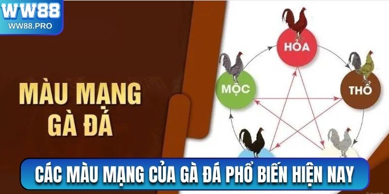 Một số màu mạng của gà đá phổ biến hiện nay