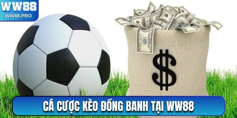 Thực hiện cá cược với kèo đồng banh giúp người chơi rinh thưởng cao